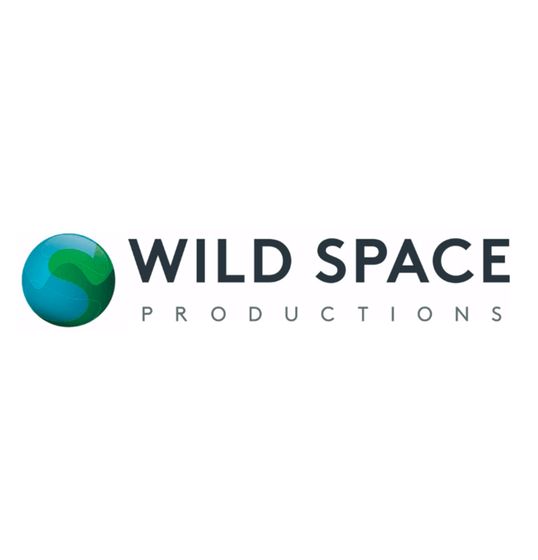 WildSpace Productions logo