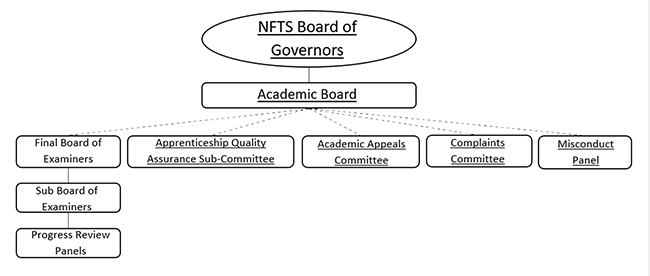 Academic Governance Structure