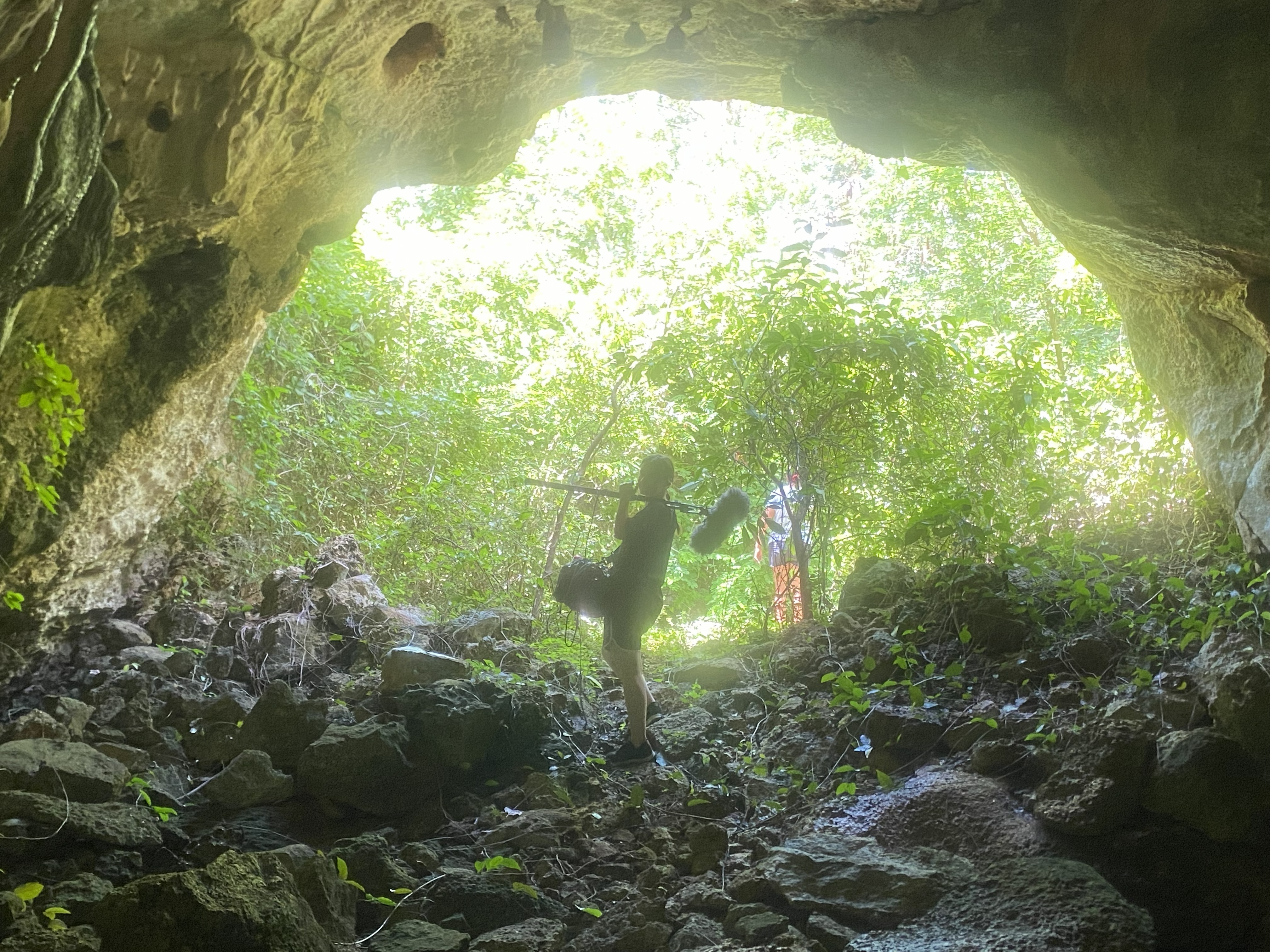It blooms from within rainforest