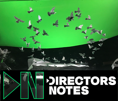 Directors Notes
