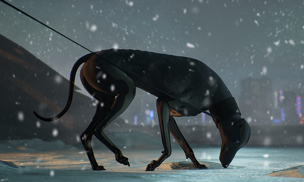 still from ascent showing dog sniffing snowy ground