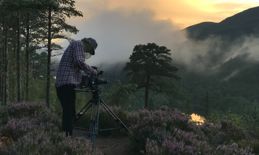 Student filming wildlife